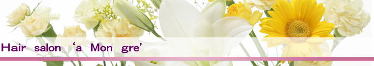 ヘッダーイメージ